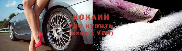 шишки Нея