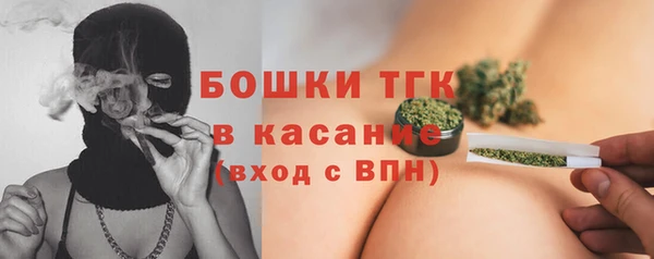 шишки Нея