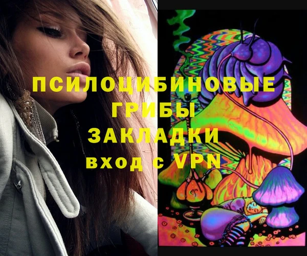 шишки Нея