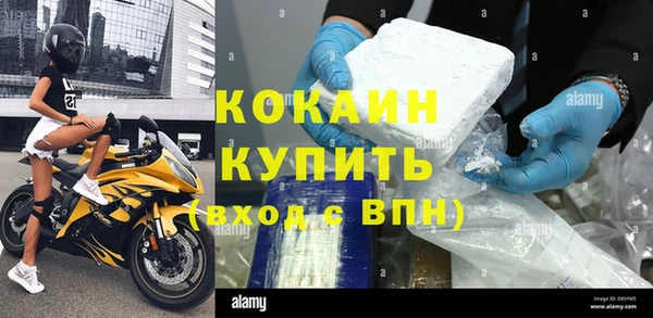 шишки Нея