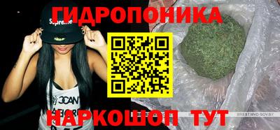 прущие грибы Жуковский