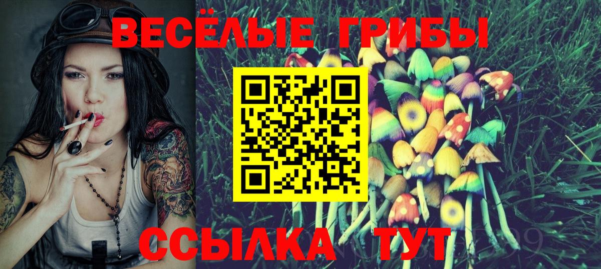 Новосибирск  Меф МЯУ МЯУ кристаллы  Кокаин  МЕТ  Мефедрон кристаллы  Альфа ПВП СК   LSD-25  Марихуана  COCAIN  Каннабис  Гашиш 