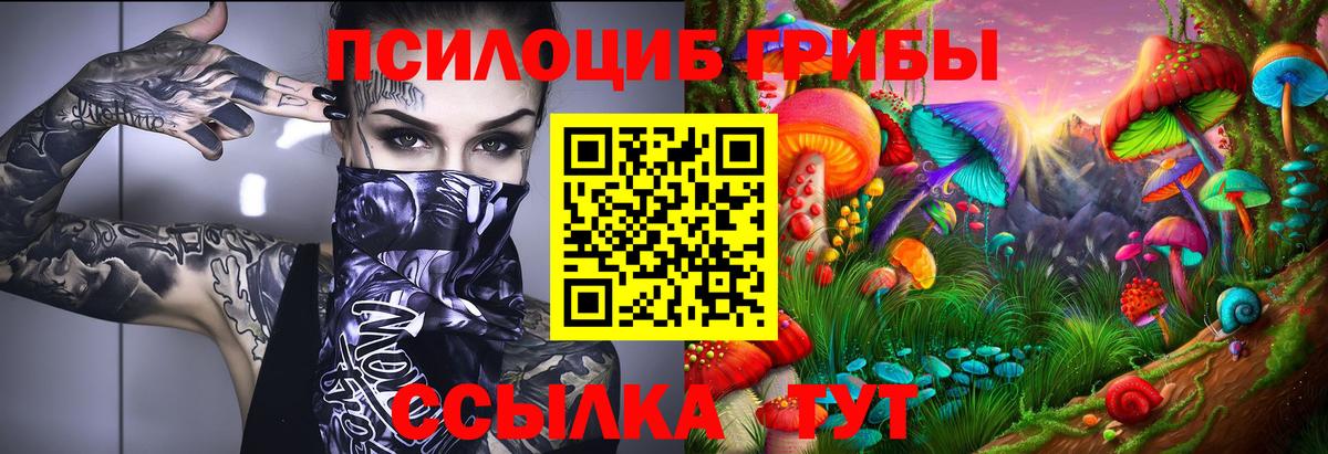Галлюциногенные грибы Cubensis Новосибирск